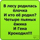 Ліза Шпак фотография #28 (источник - https://vk.com/id94507057)