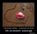 Фотография Задорожней Елены