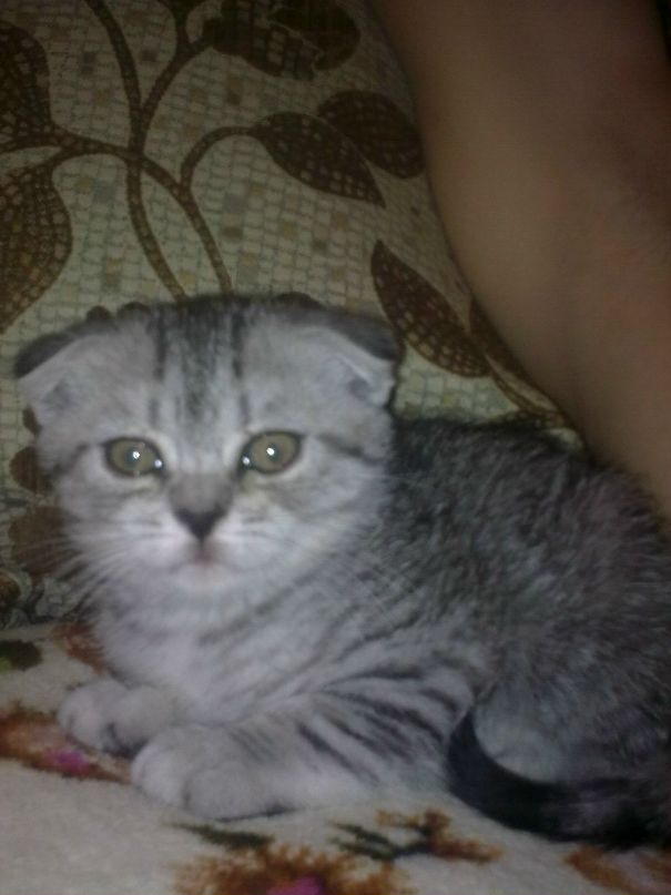 Сергей Данильченко фотография #46