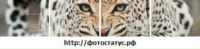 Deleted Deleled фотография #42 (источник - https://vk.com/id21111719)
