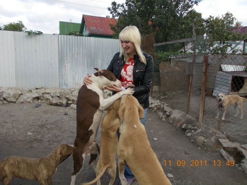 №7, Татьяна Петрова, Луховицы №7, Татьяна Петрова, Луховицы