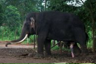 Даша Дашина фотография #13 (источник - https://vk.com/id2891457)