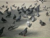 Фотография Шкляевой Светланы