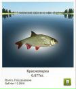 Ігор Крупела фотография #48 (источник - https://vk.com/id83319063)