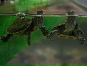 Егор Петрин фотография #1