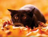 Фотография Ровны Елены