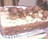 Андрій Томашевський фотография #24 (источник - https://vk.com/id28704369)