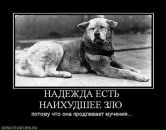 Фотография Орлюка-Охременко Фёдора