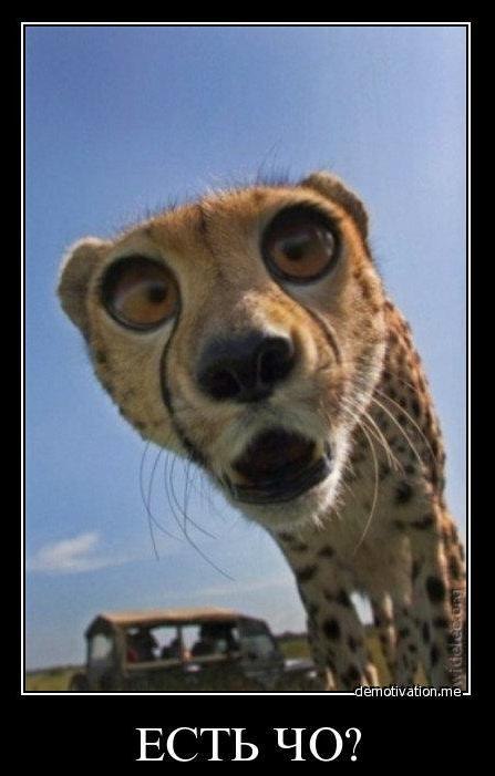 Иван Хулиган фотография #25