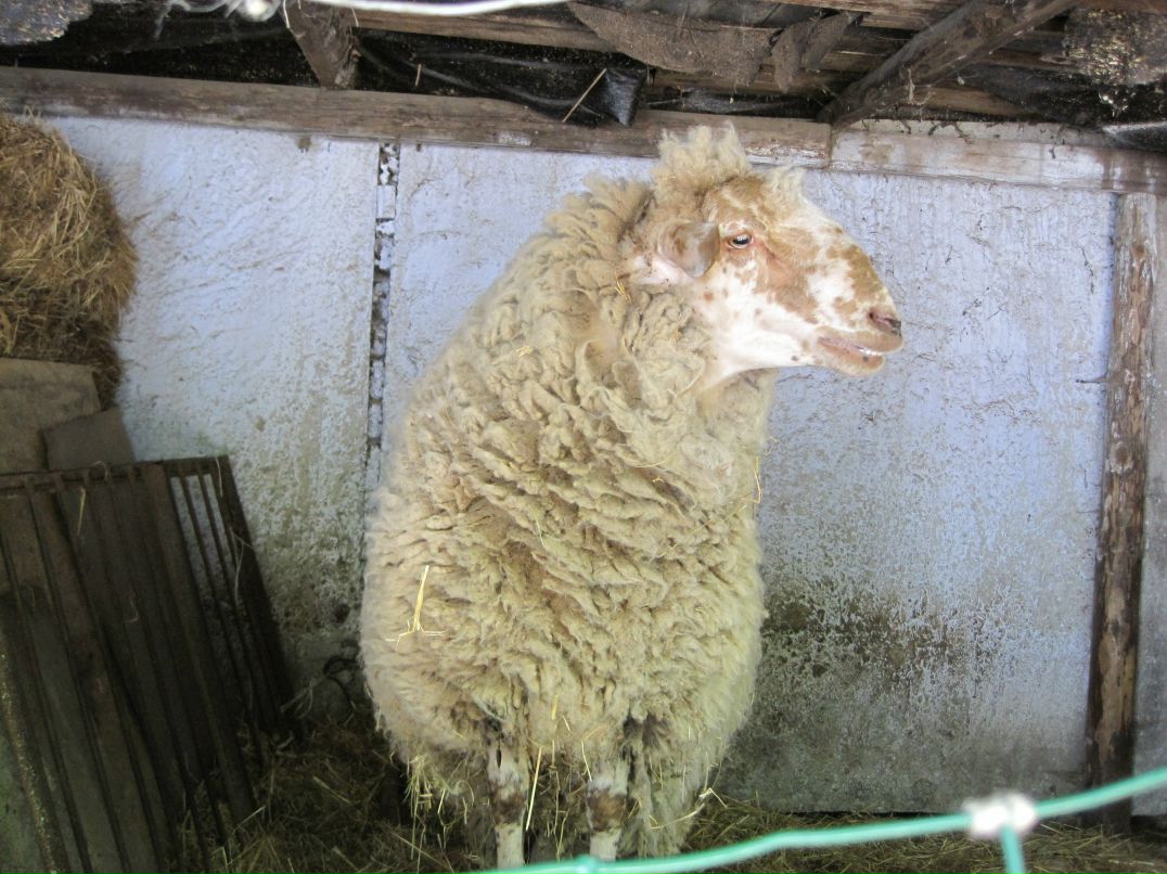 Дмитрий Сальников фотография #46