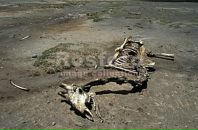 Фотография По Михаила