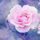 Юлія Ганжа фотография #26 (источник - https://vk.com/id168453202)