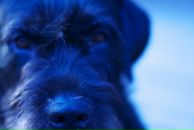 Ася Нео фотография #32 (источник - https://vk.com/id122476)