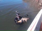 Фотография Власова Максима