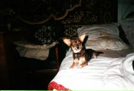 Олег Дрівко фотография #18 (источник - https://vk.com/id61364322)