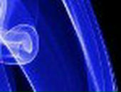 Ян Шустрый фотография #26 (источник - https://vk.com/id4856871)