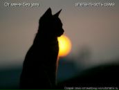 Фотография Ефремовой Олеси