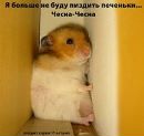 Фотография Холодовой Леночки