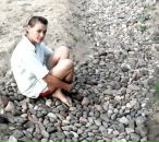 Фотография Калининой Екатерины