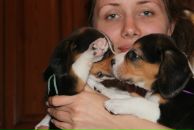 Фотография Аренс Ксении