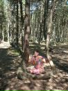 Фотография Грибенниковой Марии