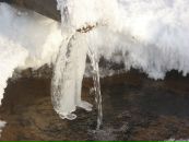 Фотография Семеновой Светланы