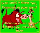 Максим Іванов фотография #26 (источник - https://vk.com/id158395911)