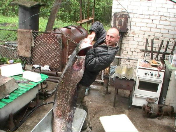 Игорь Плакида фото №1