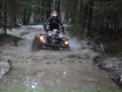 Фотография Веселова-Румянцева Дмитрия