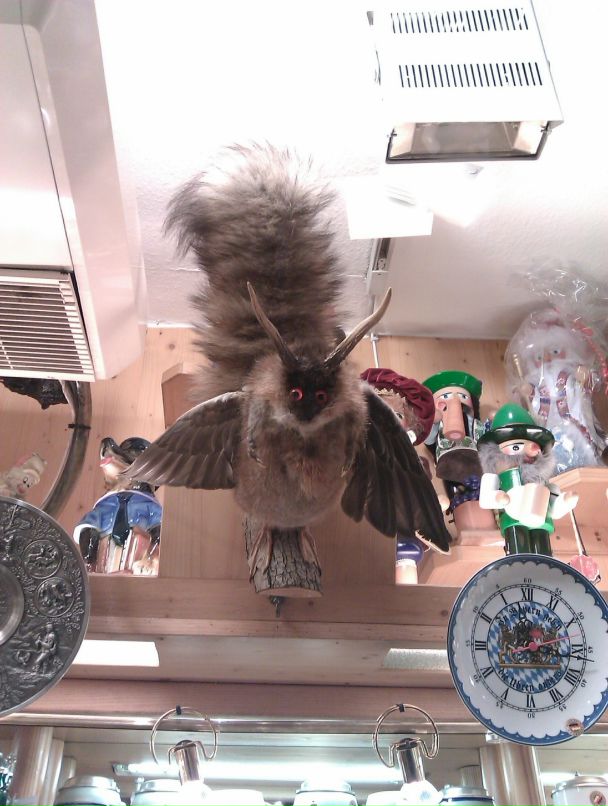 Дмитрий Ступаков фотография #34