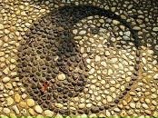 Фотография Дёминой Александры