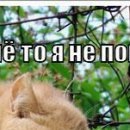 Вітя Бурмей фотография #17 (источник - https://vk.com/id143562390)