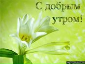 Алусік Мул фотография #44 (источник - https://vk.com/id125561275)