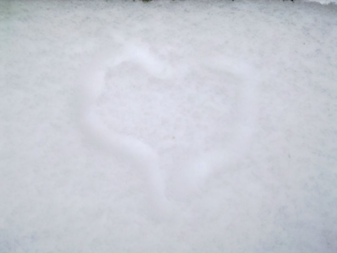 Дмитрий Горбачёв фотография #44