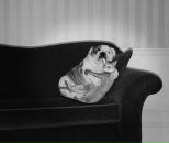 Фотография Лукьяновой Ольги