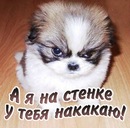 Саша Каледін фотография #2 (источник - https://vk.com/id135590237)