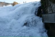 Оксана Яковлева фотография #1