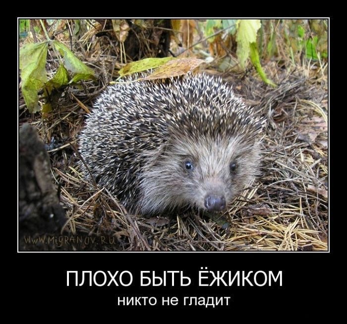 Слава Касаткин фотография #11