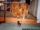 Андрій Львов фотография #32 (источник - https://vk.com/id28441248)