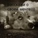  фотография #16