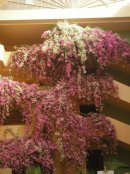 Аня Андрущенко фотография #29 (источник - https://vk.com/id5770076)