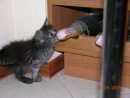 Настюха :) фотография #20 (источник - https://vk.com/id7914756)