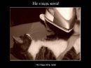 Олексій Діброва фотография #48 (источник - https://vk.com/id1771684)