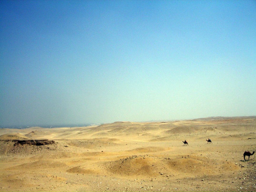 Дмитрий Плотников фотография #41