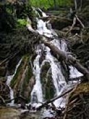 Cyrus __ фотография #39 (источник - https://vk.com/id2820677)