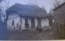 Мусій Абдуллазіз фотография #4 (источник - https://vk.com/id156415699)