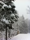 Вікторія Сенишин фотография #19 (источник - https://vk.com/id11939861)