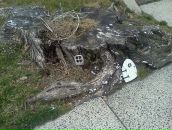 Антон Косачев фотография #34 (источник - https://vk.com/id614167)