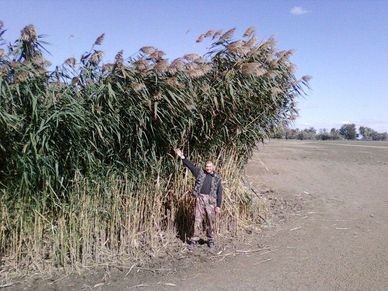 Дима Соцков фотография #33