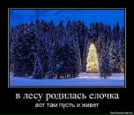 Kiray< Volk фотография #18 (источник - https://vk.com/id13968437)